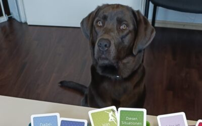 Tierische Unterstützung von Effexx für die Beratungsstelle